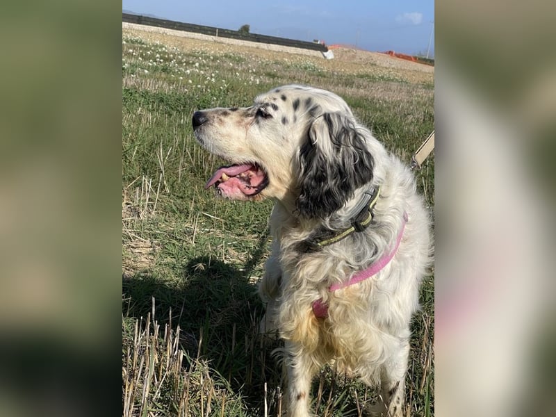 Marte - ...SOS - möchte eine Band gründen