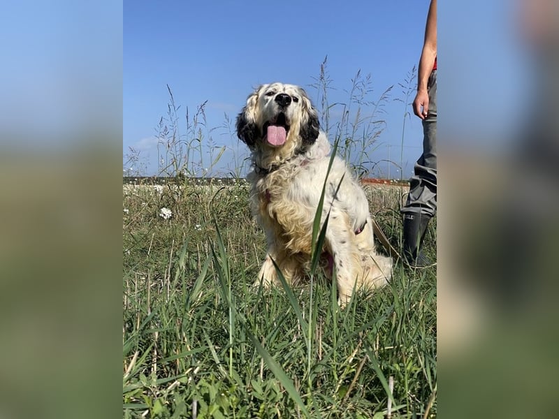 Marte - ...SOS - möchte eine Band gründen