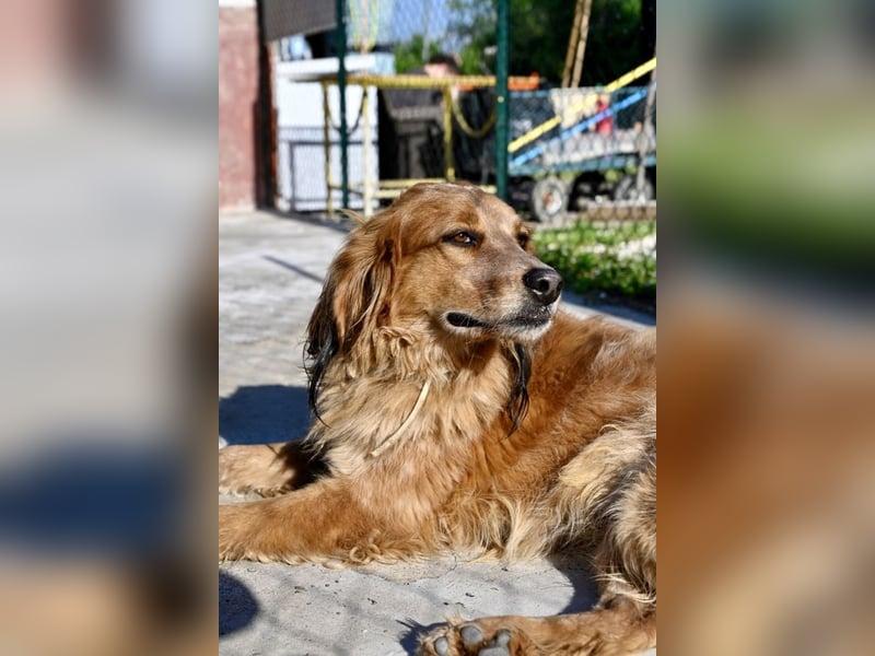 Eros - Sie war so klein, seine Welt