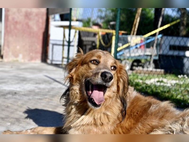 Eros - Sie war so klein, seine Welt