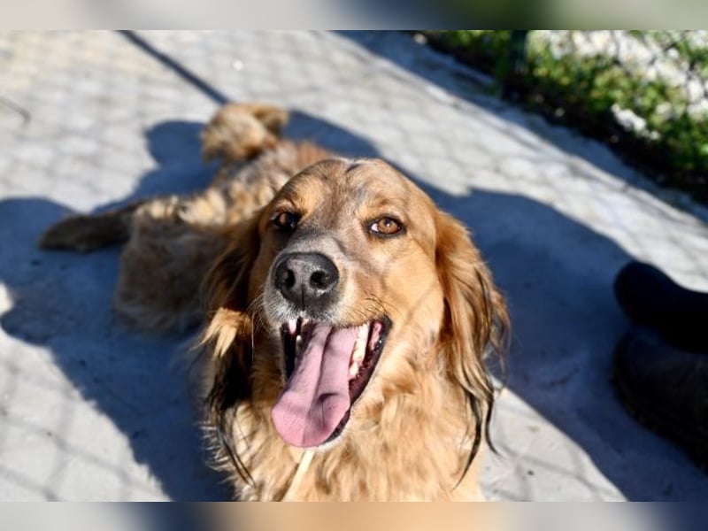 Eros - Sie war so klein, seine Welt