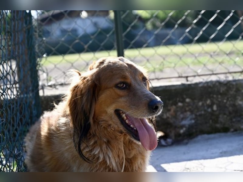 Eros - Sie war so klein, seine Welt