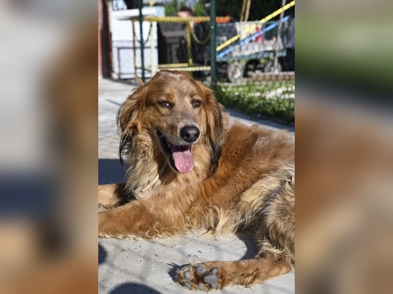 Eros - Sie war so klein, seine Welt