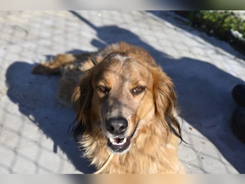 Eros - Sie war so klein, seine Welt