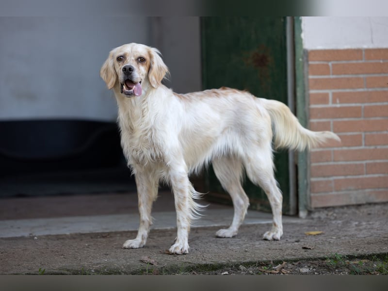 Lena