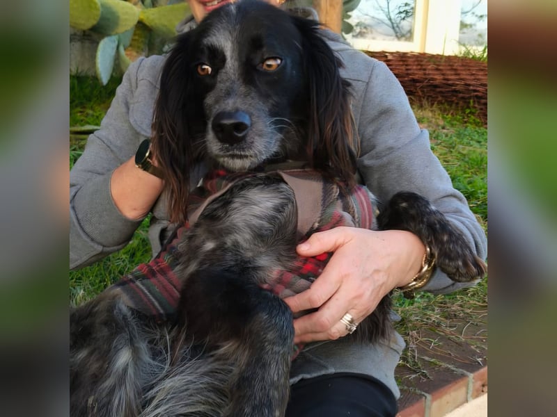 Carlo -  wenn du Lust auf Action, viel Nähe und gemeinsame Abenteuer hast, bewirb dich!