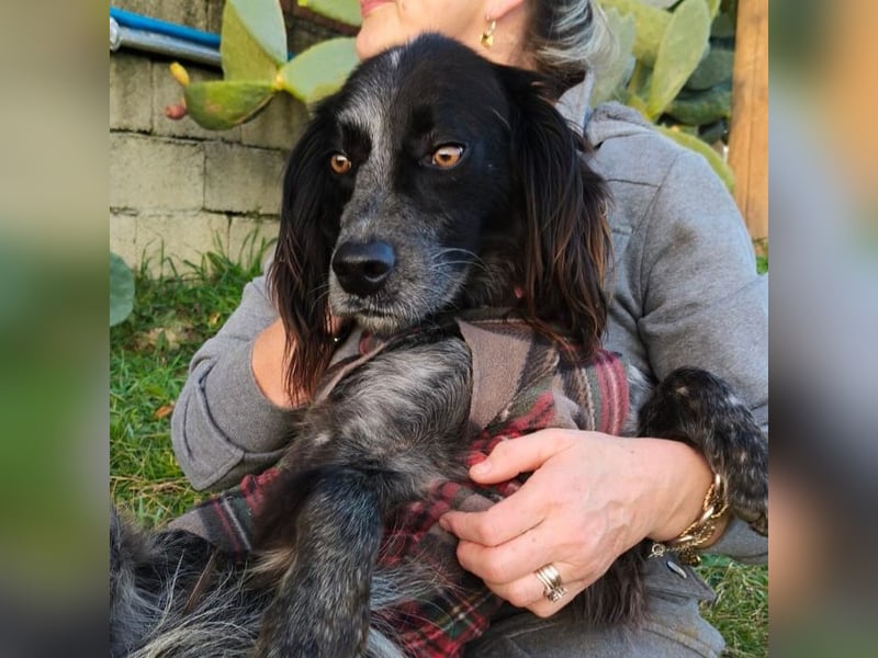 Carlo -  wenn du Lust auf Action, viel Nähe und gemeinsame Abenteuer hast, bewirb dich!