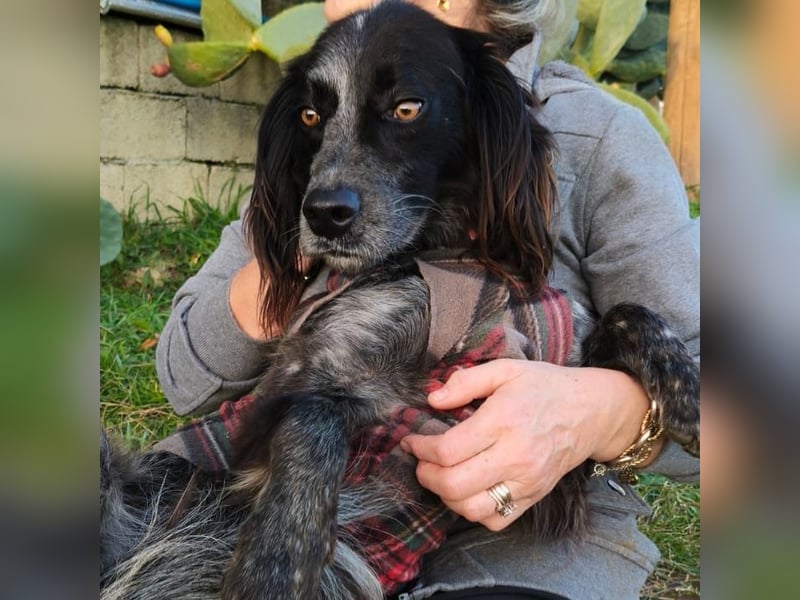 Carlo -  wenn du Lust auf Action, viel Nähe und gemeinsame Abenteuer hast, bewirb dich!