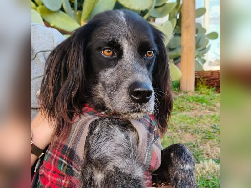 Carlo -  wenn du Lust auf Action, viel Nähe und gemeinsame Abenteuer hast, bewirb dich!