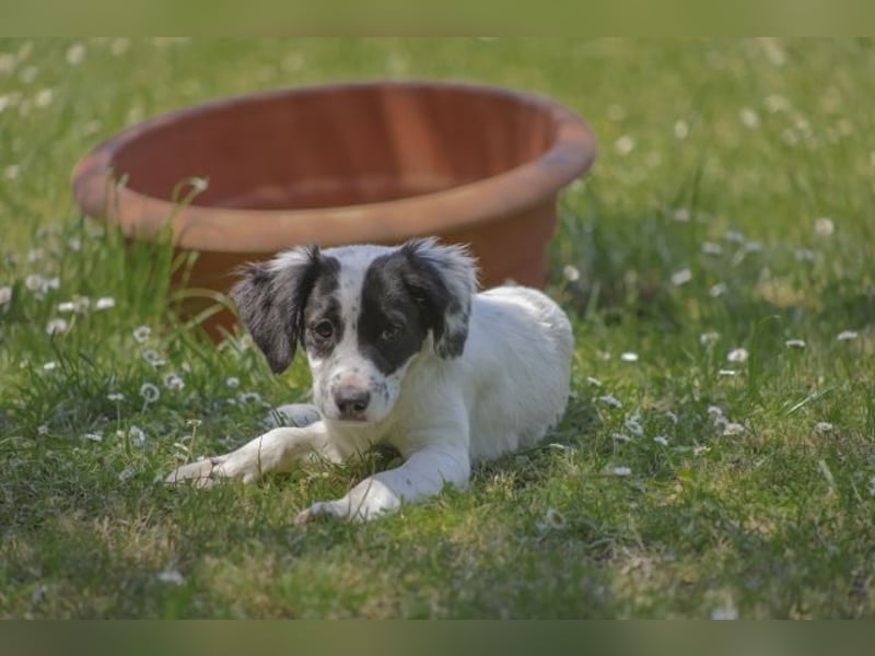 Malou - Fräulein Malou guckt erstmal