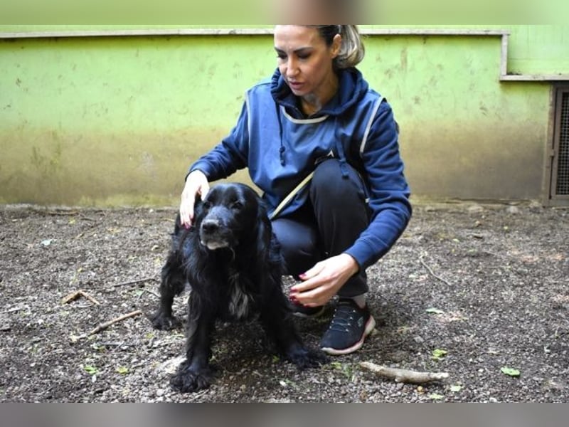 Ashia - möge ihr Glücksfünkchen zu hellem Licht werden