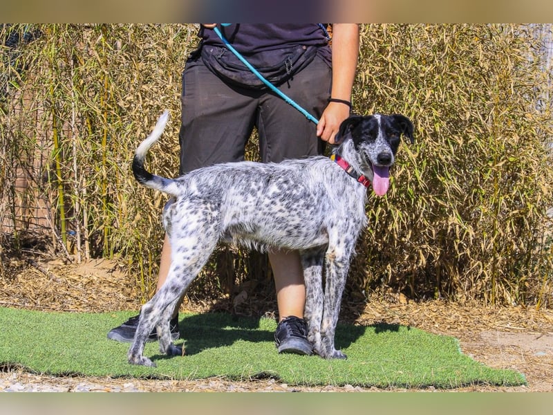 Palermo - sucht aktive Menschen