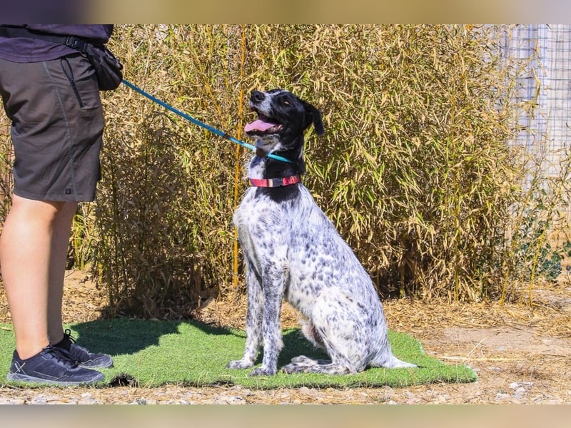 Palermo - sucht aktive Menschen