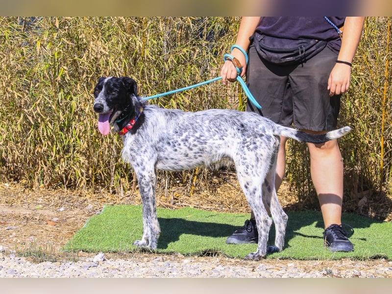 Palermo - sucht aktive Menschen