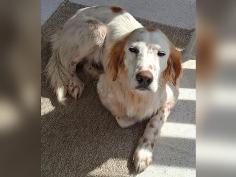 Bezaubernde Marilia sucht ihr Glück