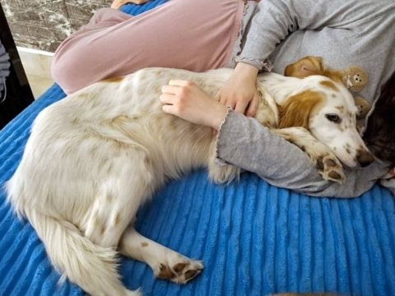 Bezaubernde Marilia sucht ihr Glück