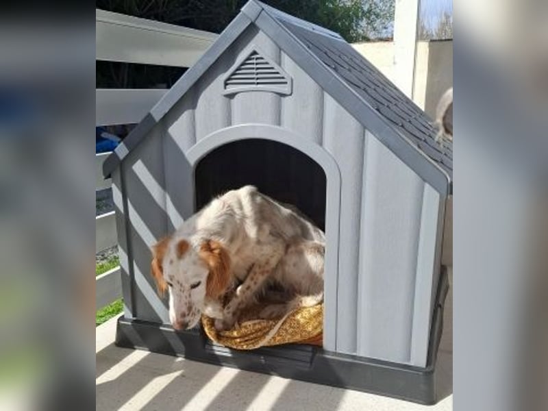 Bezaubernde Marilia sucht ihr Glück