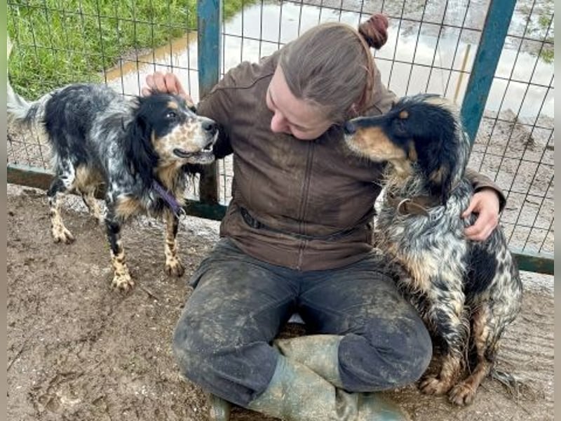 Pamela - ein Herz auf 4 Pfoten