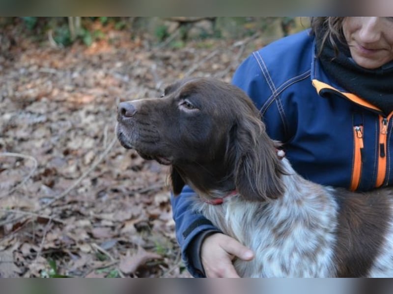 Mottle - Dein Freund fürs Leben
