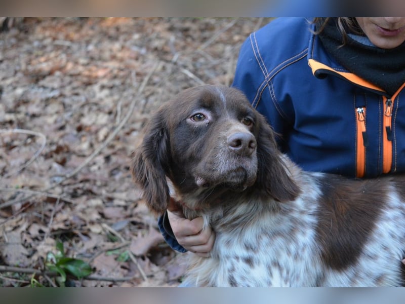 Mottle - Dein Freund fürs Leben