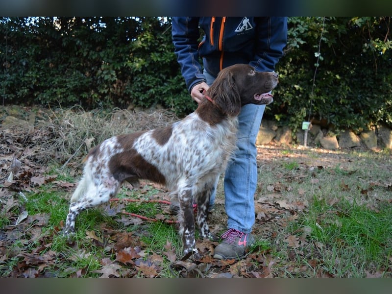 Mottle - Dein Freund fürs Leben