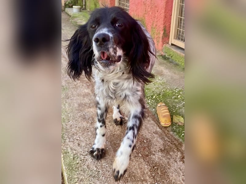 CAMELA auf Körbchensuche