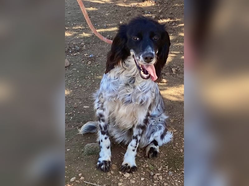 CAMELA auf Körbchensuche