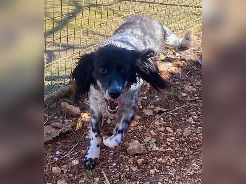 CAMELA auf Körbchensuche