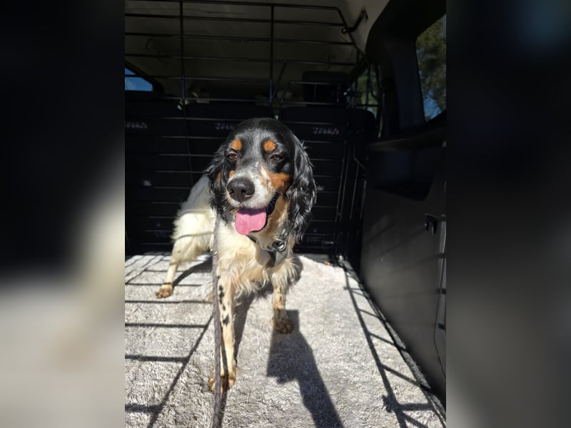 Moreno: Menschen sind ihm sehr wichtig