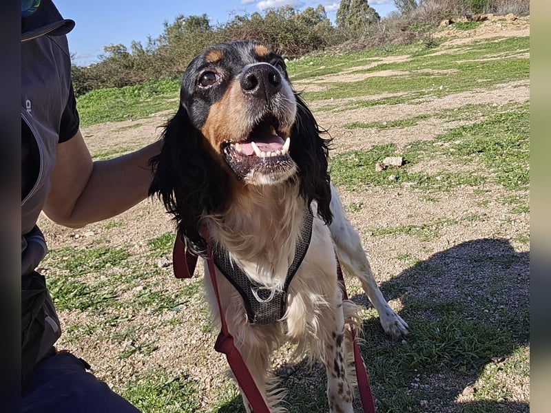 Moreno: Menschen sind ihm sehr wichtig