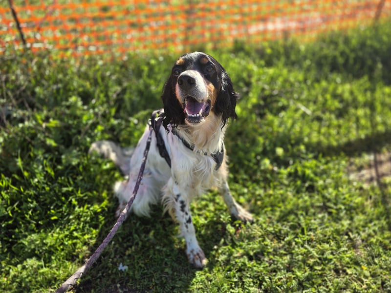 Moreno: Menschen sind ihm sehr wichtig