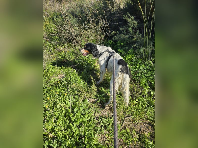 Moreno: Menschen sind ihm sehr wichtig