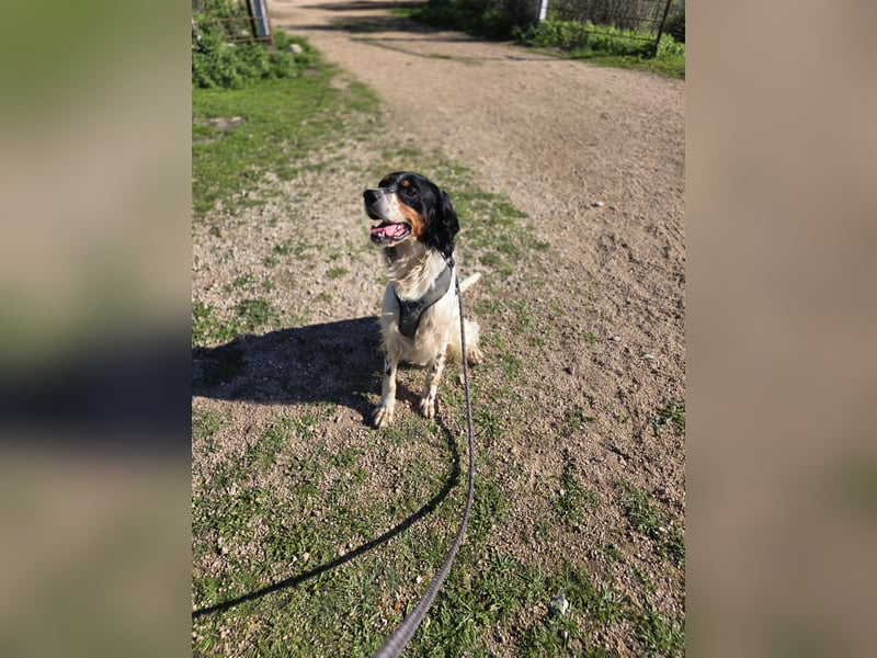 Moreno: Menschen sind ihm sehr wichtig