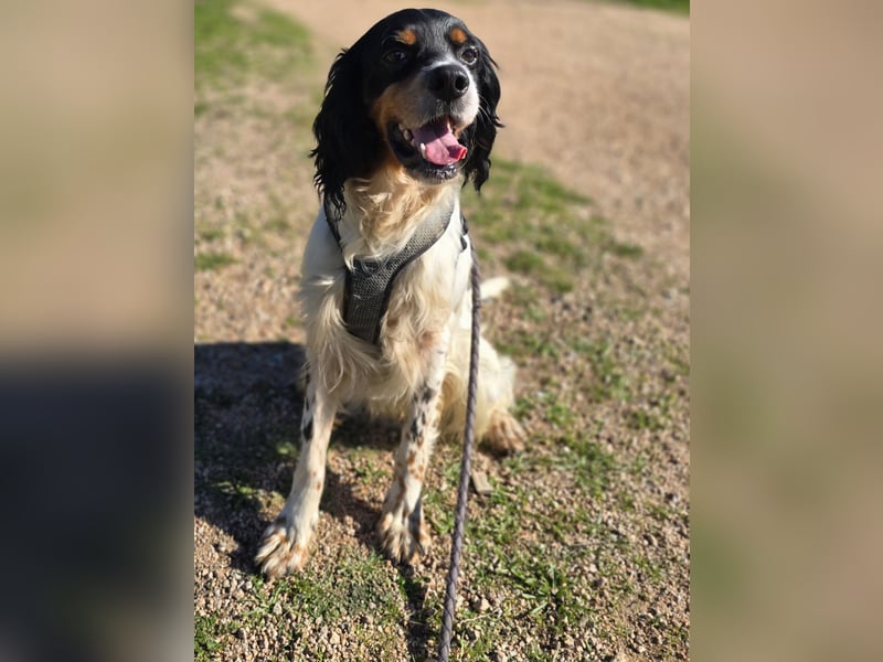 Moreno: Menschen sind ihm sehr wichtig