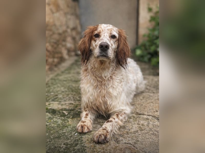 Trui zeigt sich neugierig und aufgeschlossen