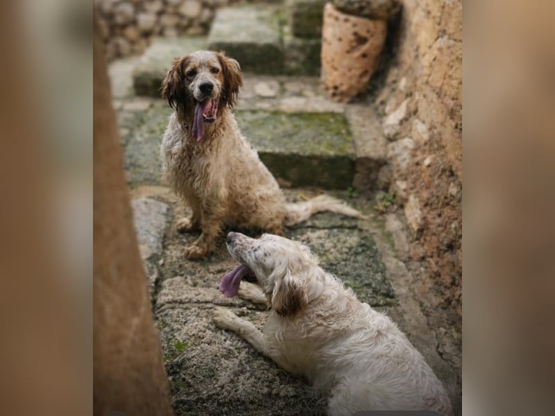 Trui zeigt sich neugierig und aufgeschlossen