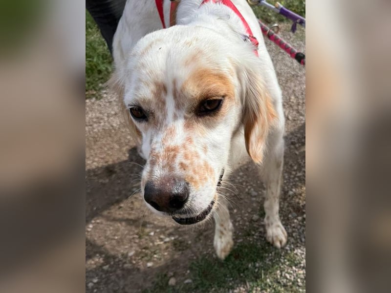 Kiro ist ein bildhübsche Zauberkerl