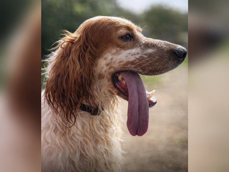 Trui zeigt sich neugierig und aufgeschlossen