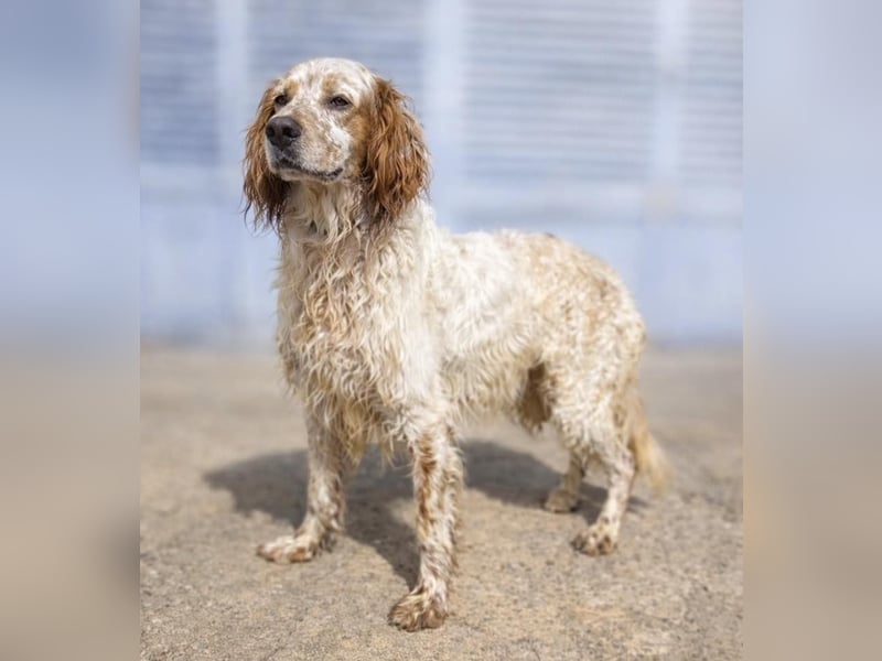 Trui zeigt sich neugierig und aufgeschlossen