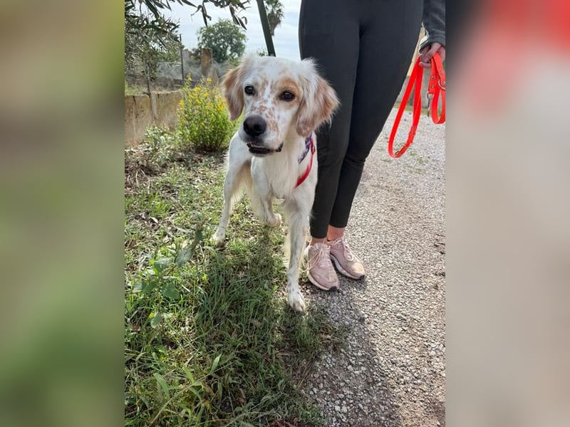 Kiro ist ein bildhübsche Zauberkerl