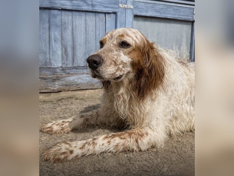 Trui zeigt sich neugierig und aufgeschlossen