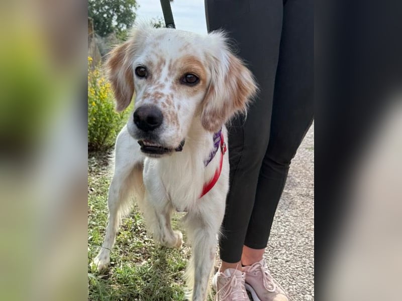 Kiro ist ein bildhübsche Zauberkerl