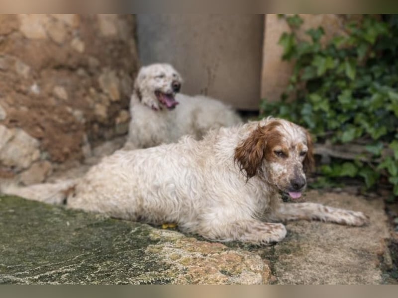 Trui zeigt sich neugierig und aufgeschlossen