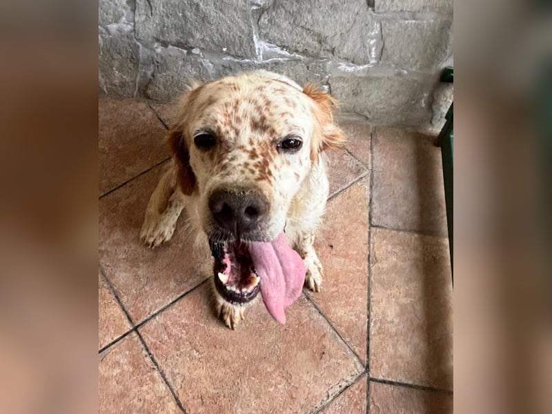 Miro
