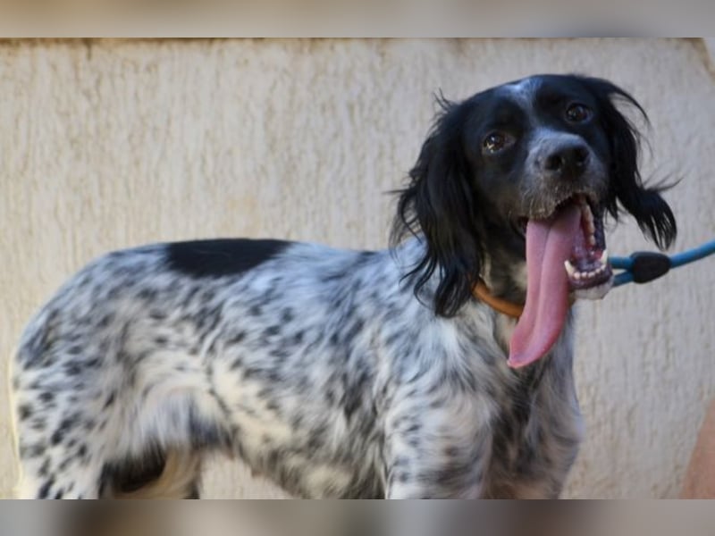 Fiona - wer heilt meine gebrochene Seele?