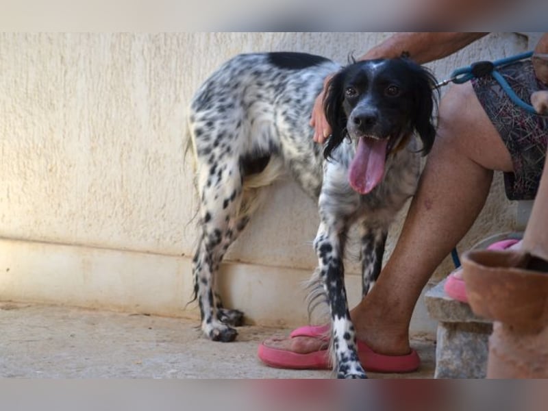 Fiona - wer heilt meine gebrochene Seele?