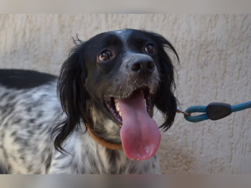 Fiona - wer heilt meine gebrochene Seele?