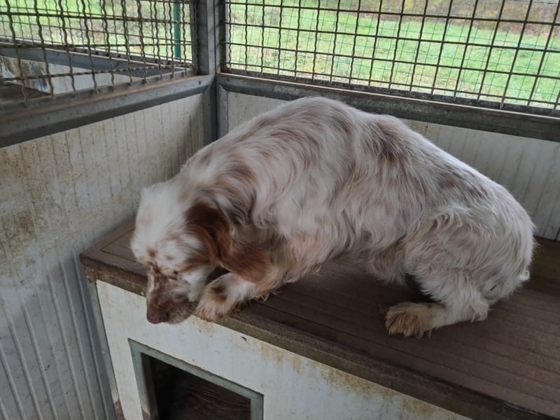 Beto - Mehr Braucht man nicht