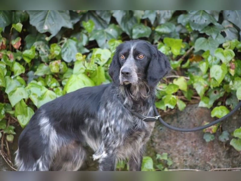 Coca - Zwischen gestern und morgen