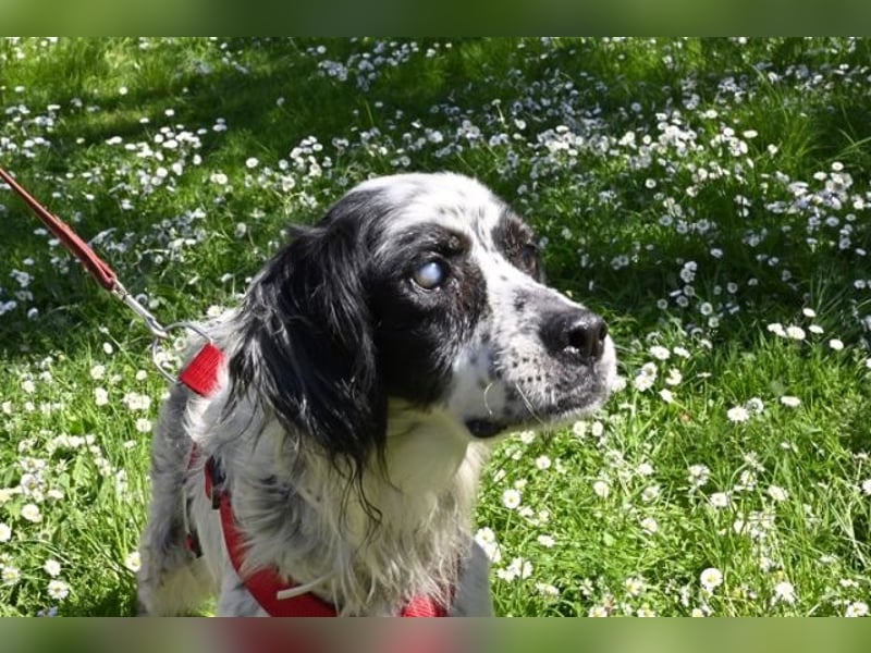 Toby - NOTFALL - Wenn die Welt plötzlich still und dunkel wird